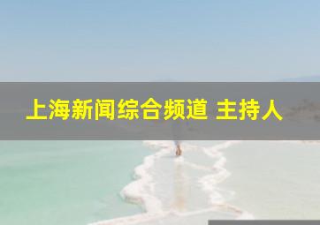 上海新闻综合频道 主持人